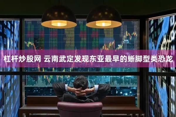 杠杆炒股网 云南武定发现东亚最早的蜥脚型类恐龙