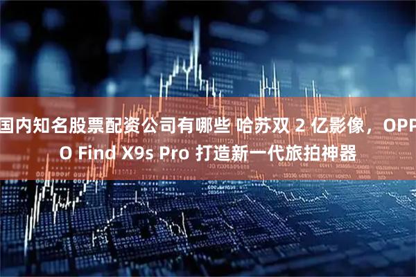 国内知名股票配资公司有哪些 哈苏双 2 亿影像，OPPO Find X9s Pro 打造新一代旅拍神器
