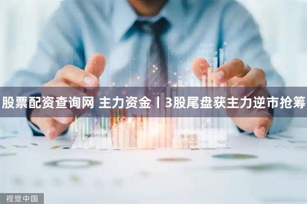 股票配资查询网 主力资金丨3股尾盘获主力逆市抢筹
